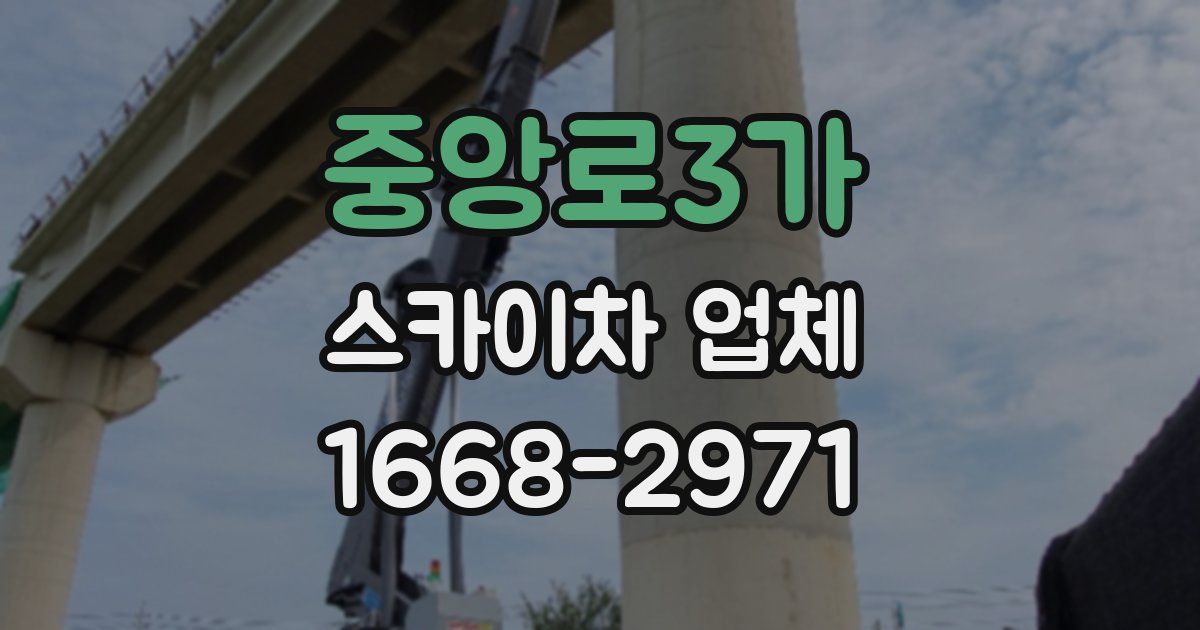 중앙로3가 스카이차 업체
