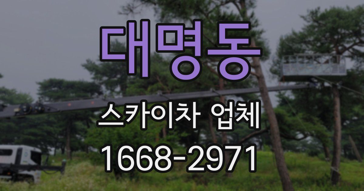 대명동 스카이차 업체