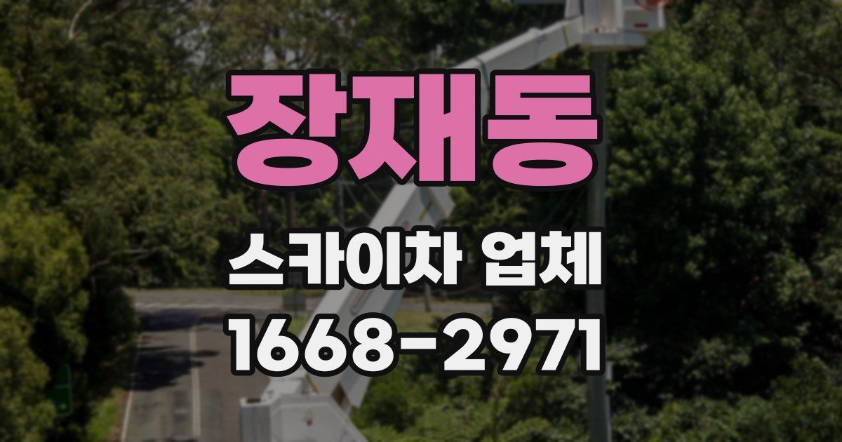 장재동 스카이차 업체
