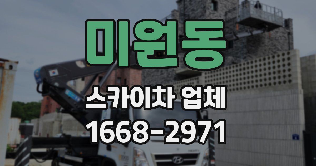 미원동 스카이차 업체