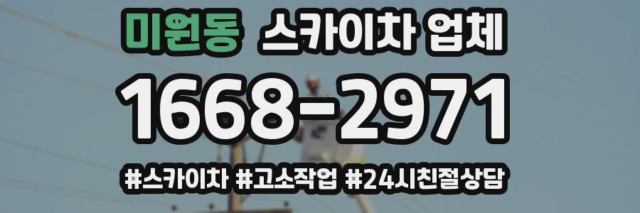 미원동 스카이차 업체