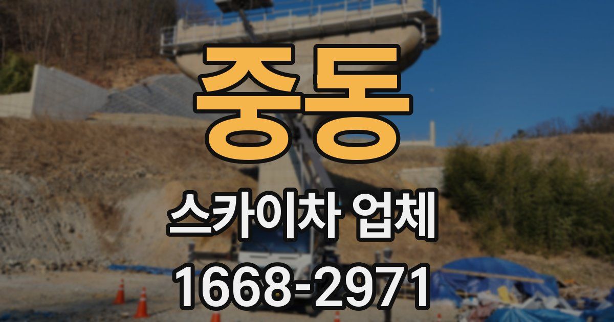 중동 스카이차 업체