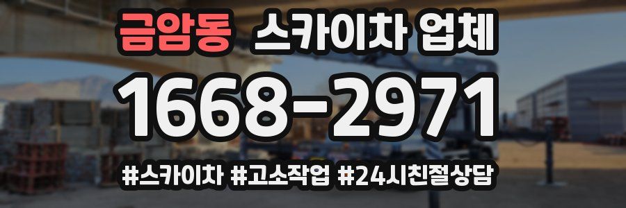 금암동 스카이차 업체