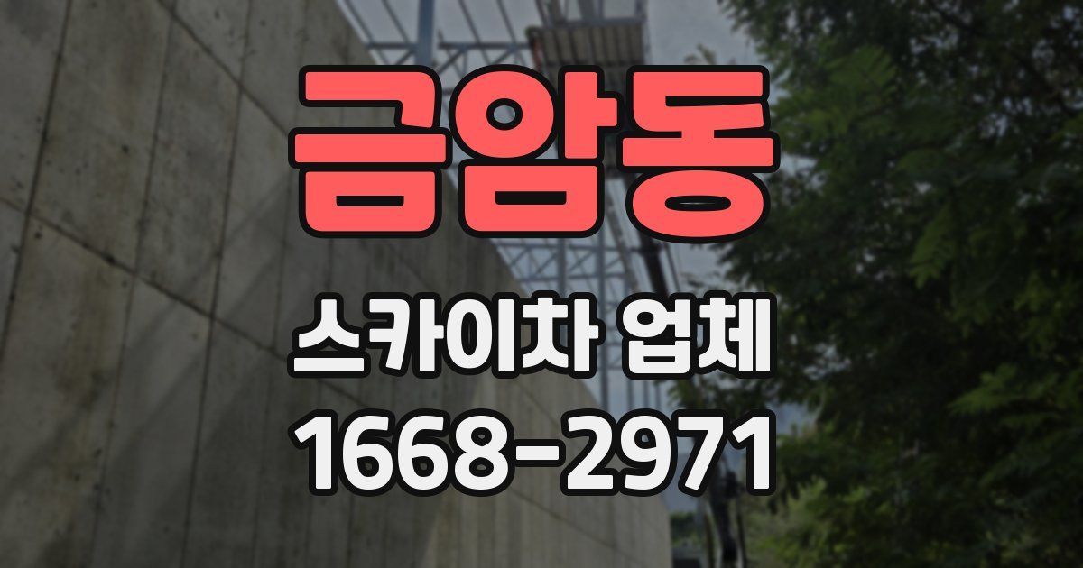 금암동 스카이차 업체