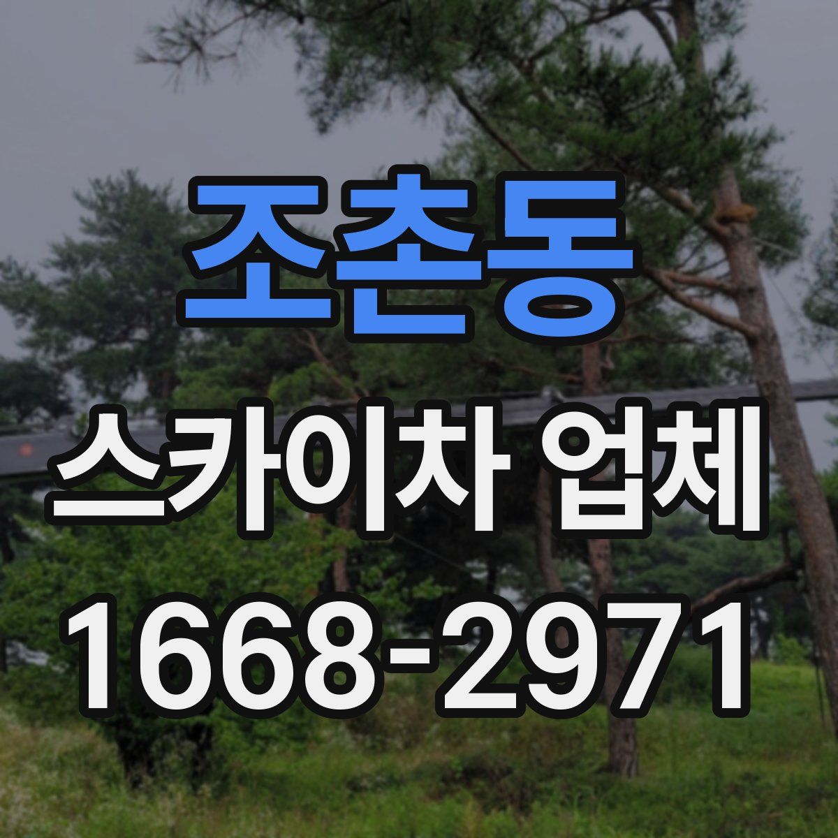 조촌동 스카이차 업체