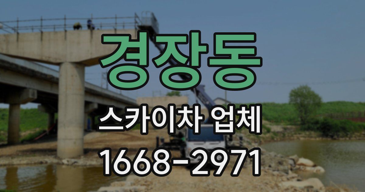 경장동 스카이차 업체