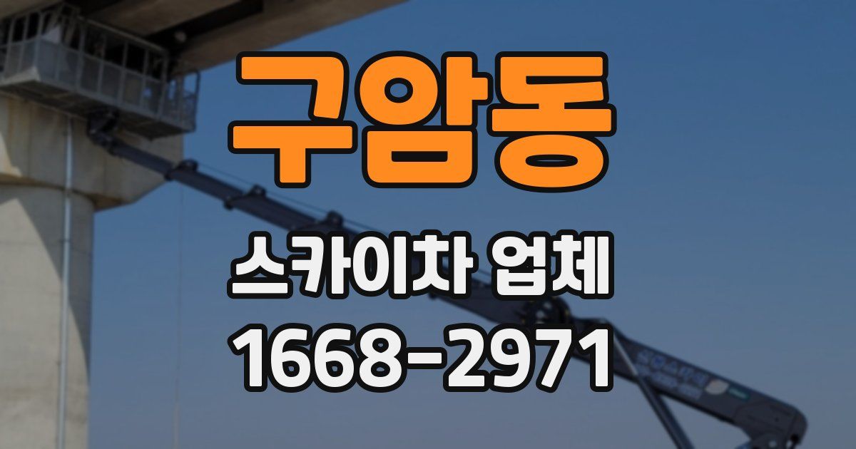 구암동 스카이차 업체