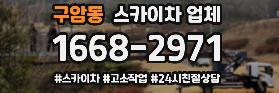 구암동 스카이차 업체
