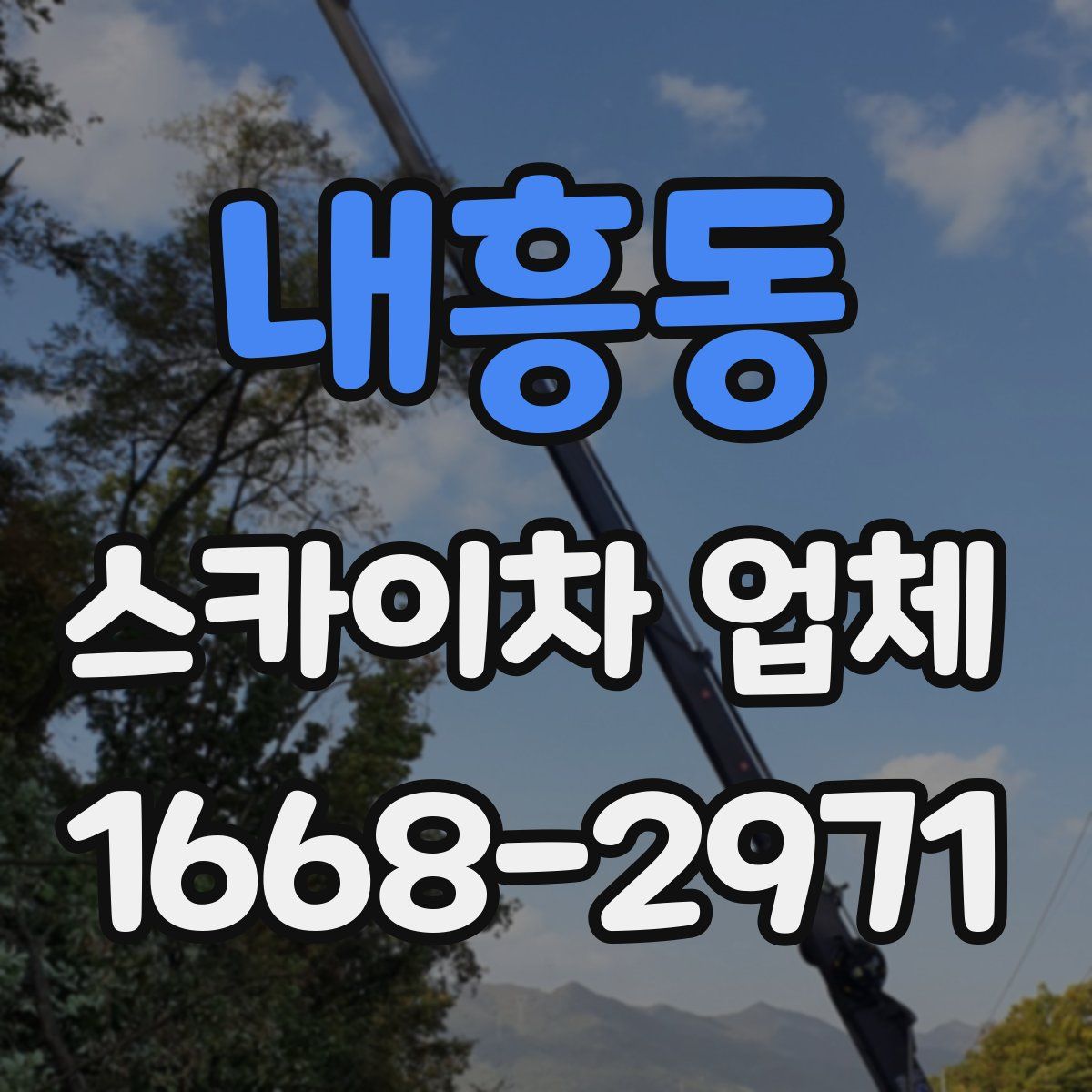 내흥동 스카이차 업체