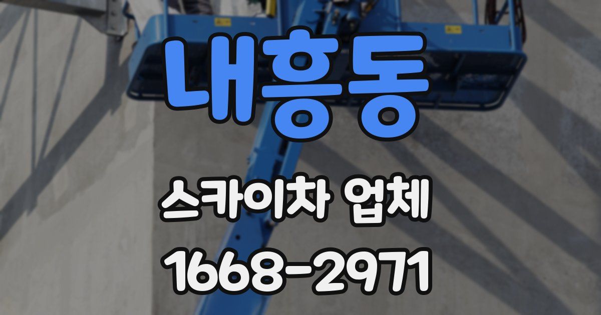 내흥동 스카이차 업체