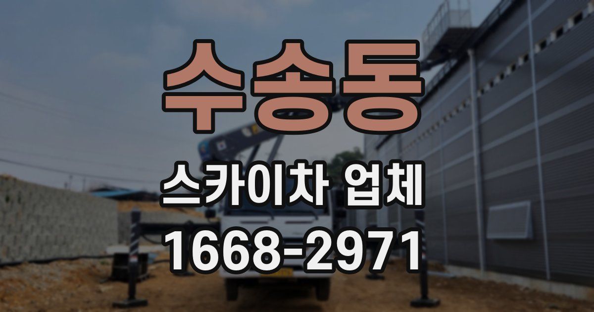 수송동 스카이차 업체