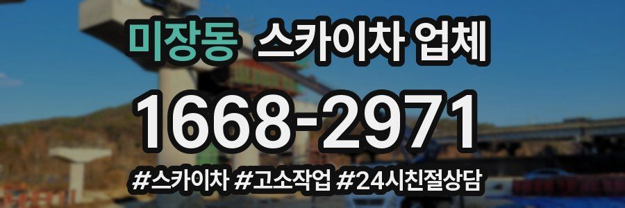 미장동 스카이차 업체