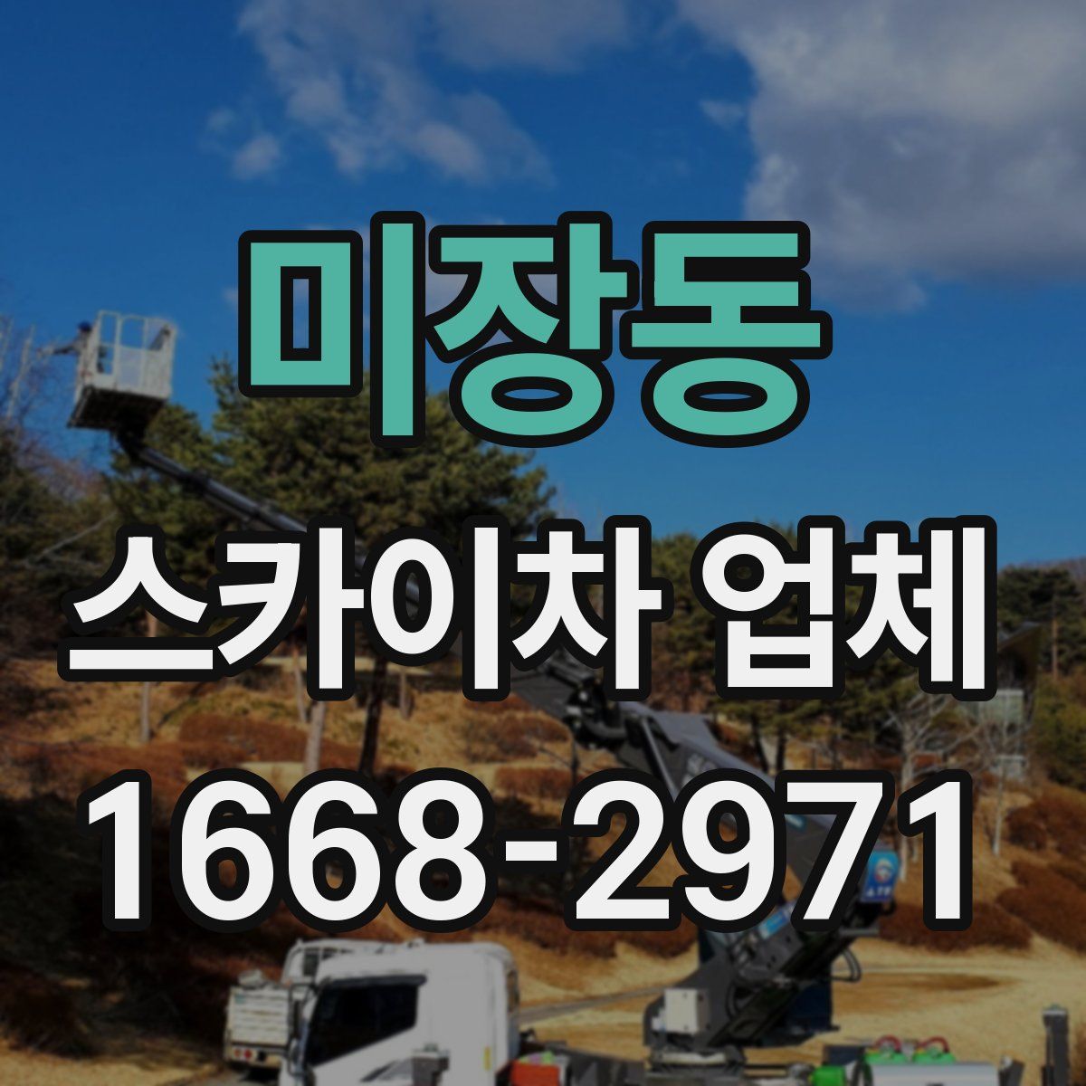 미장동 스카이차 업체