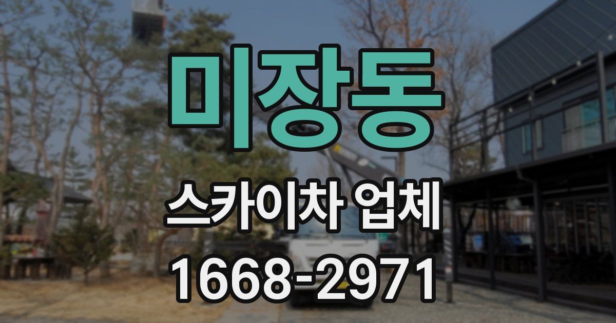 미장동 스카이차 업체