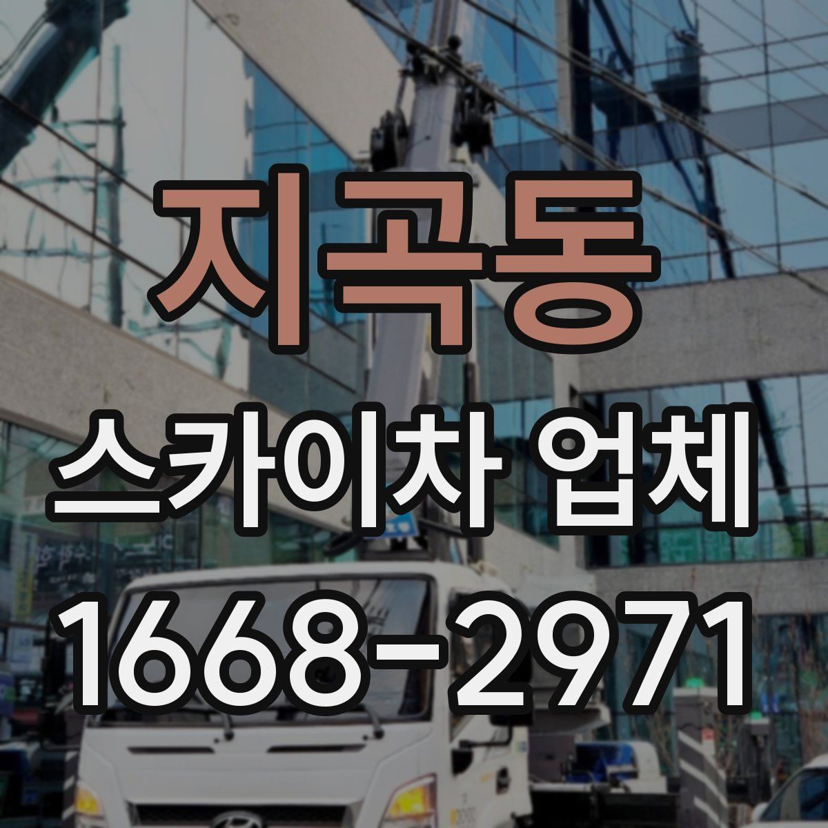 지곡동 스카이차 업체