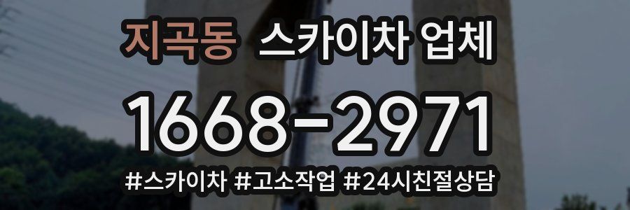 지곡동 스카이차 업체