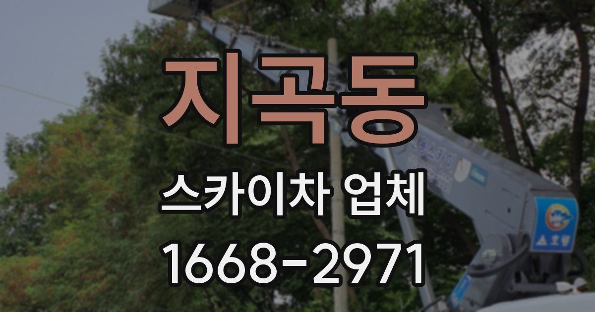 지곡동 스카이차 업체