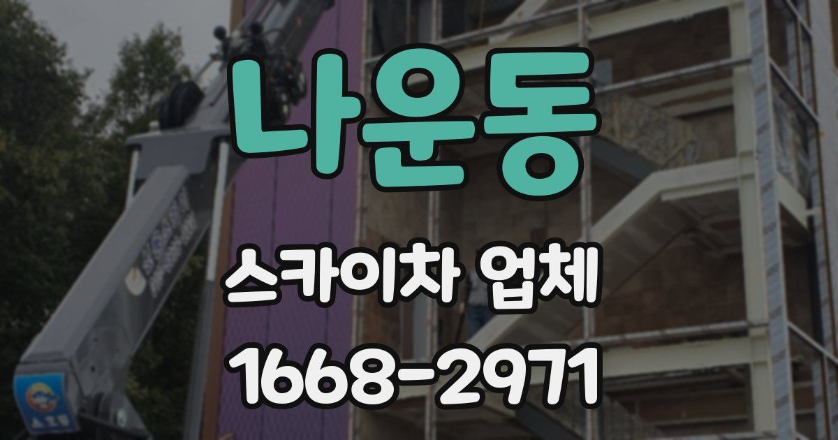 나운동 스카이차 업체