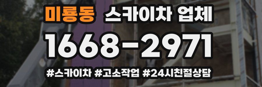미룡동 스카이차 업체