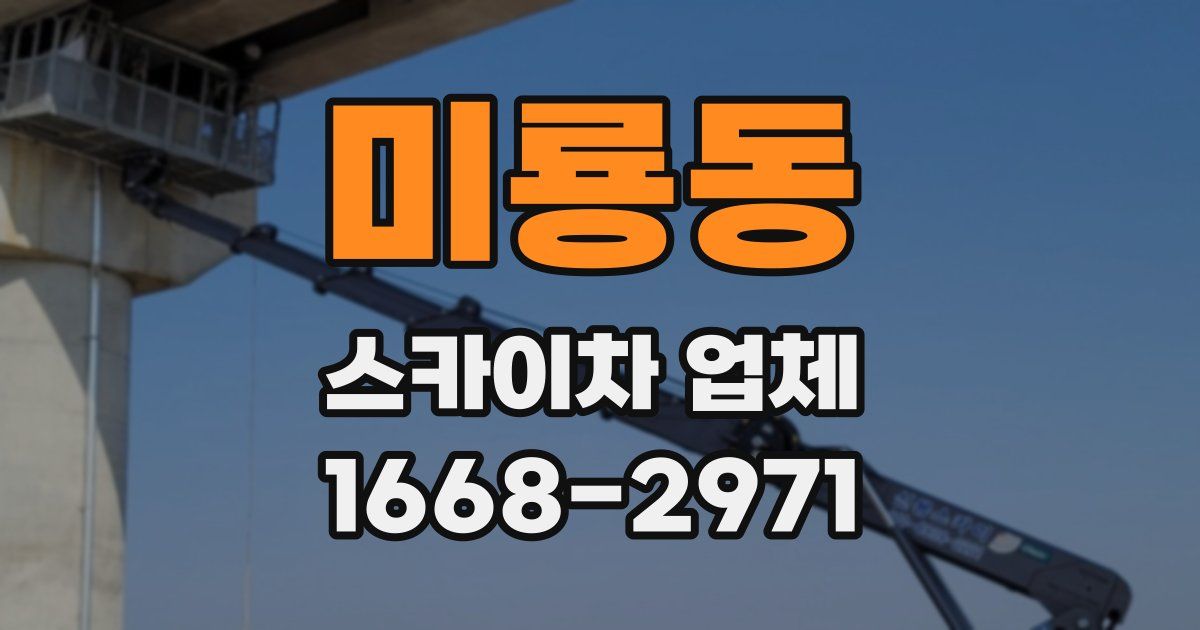 미룡동 스카이차 업체