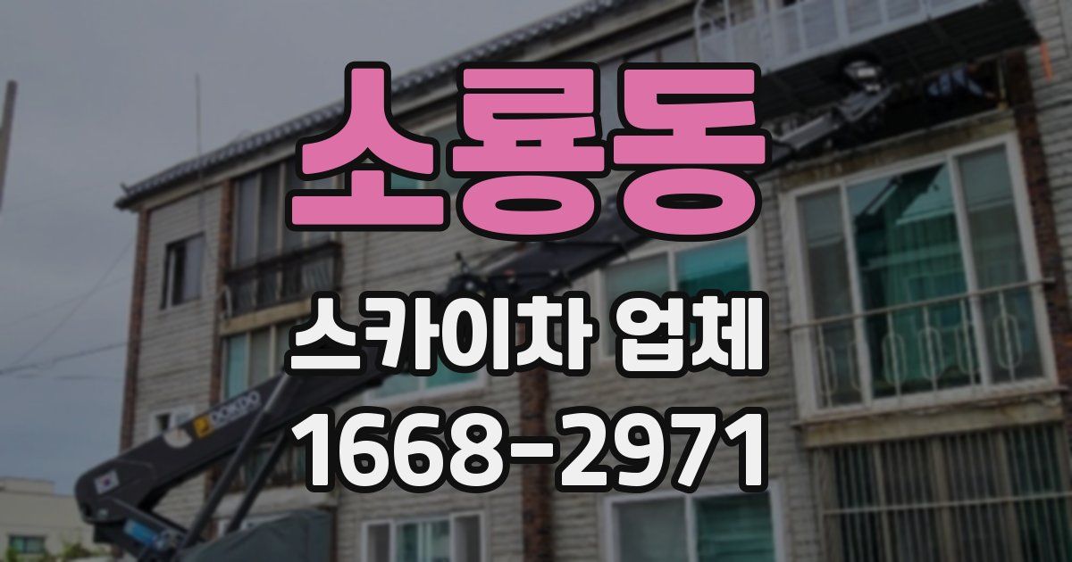 소룡동 스카이차 업체