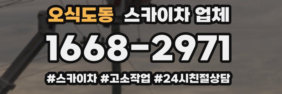 오식도동 스카이차 업체