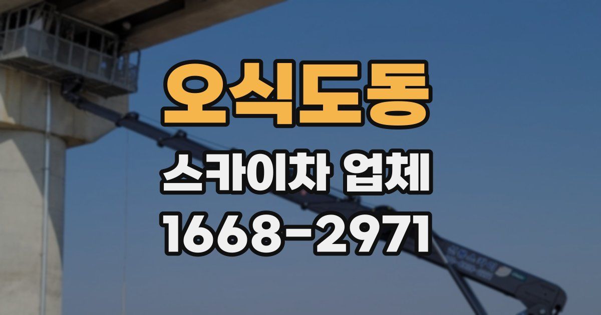 오식도동 스카이차 업체