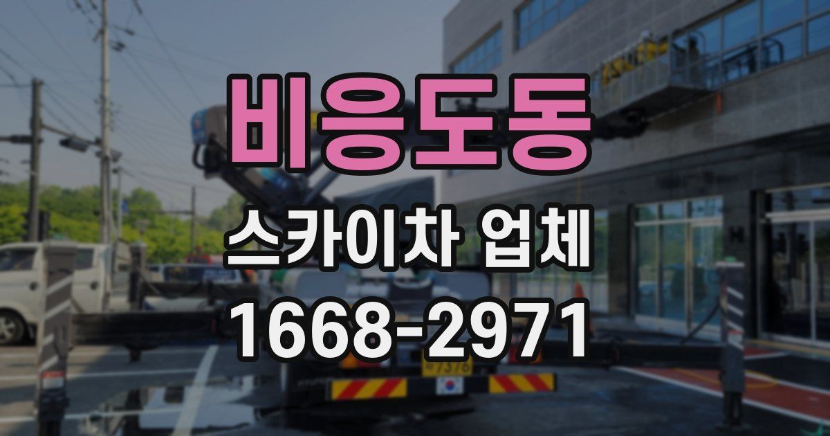 비응도동 스카이차 업체
