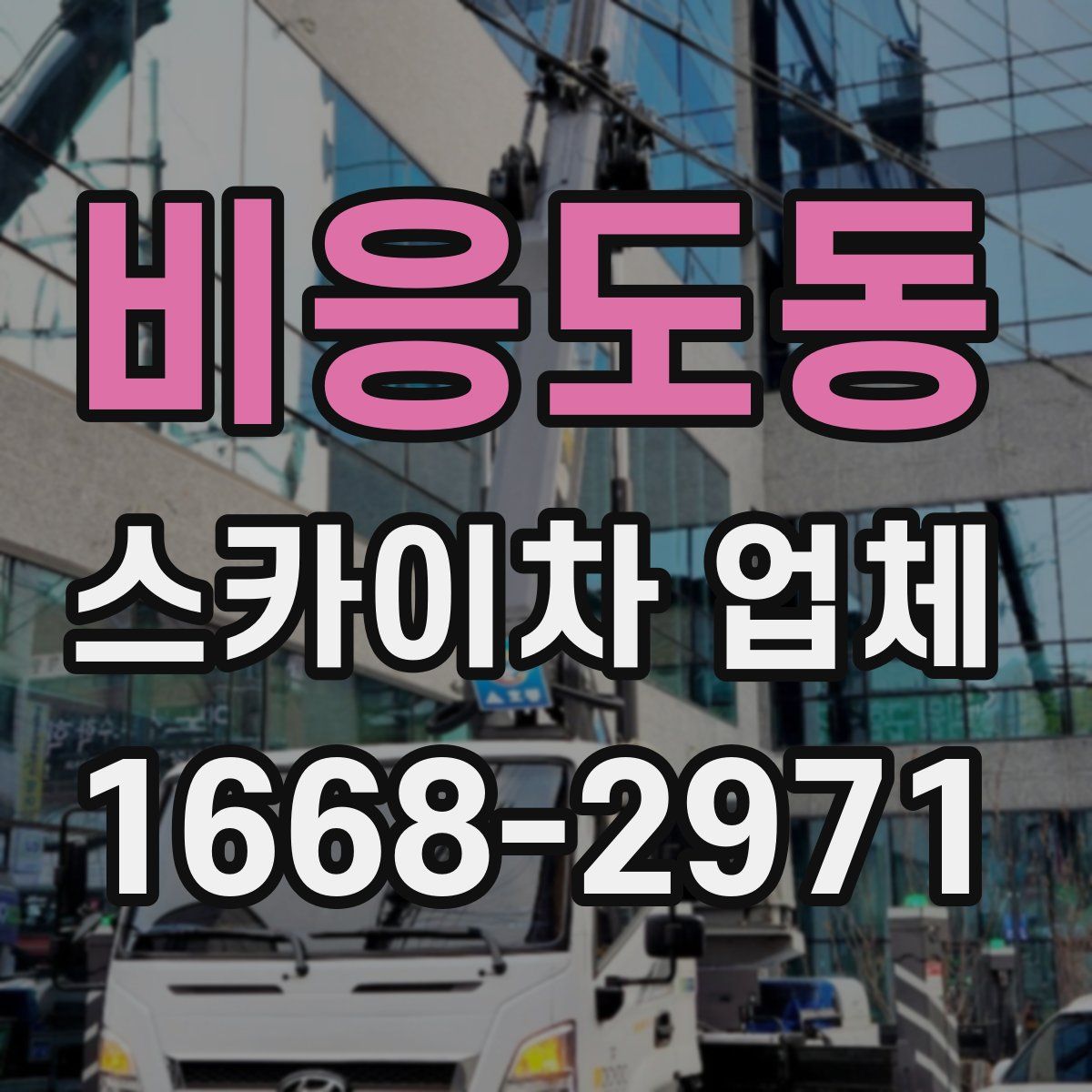 비응도동 스카이차 업체