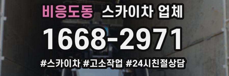 비응도동 스카이차 업체
