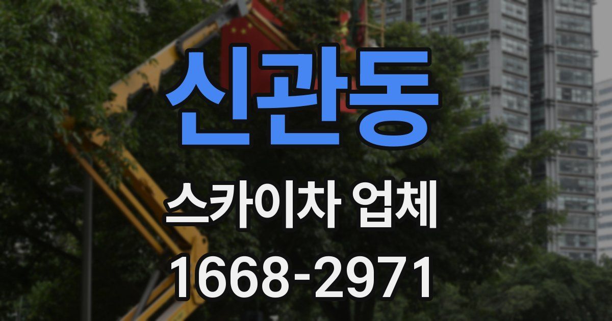 신관동 스카이차 업체