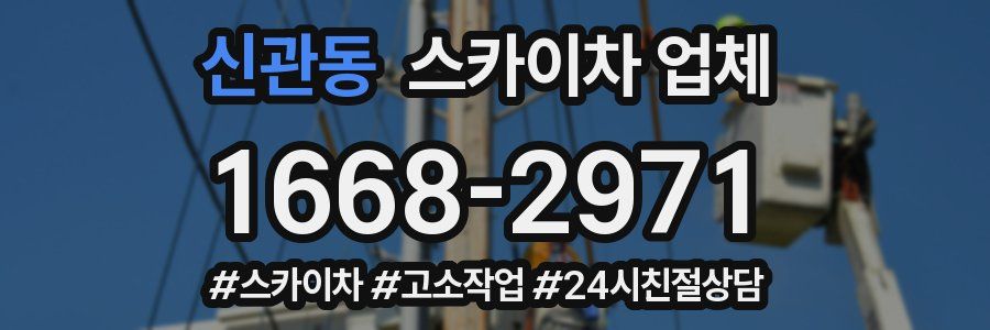 신관동 스카이차 업체