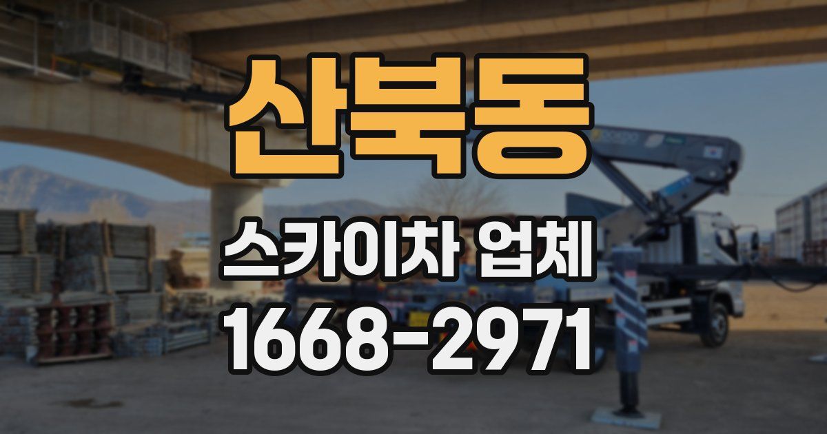 산북동 스카이차 업체