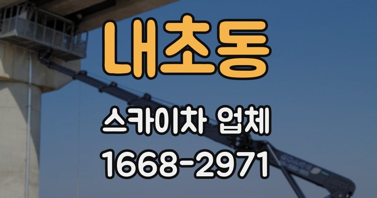 내초동 스카이차 업체