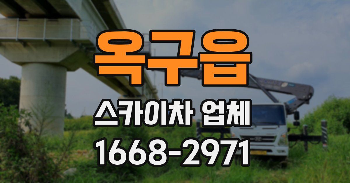 옥구읍 스카이차 업체
