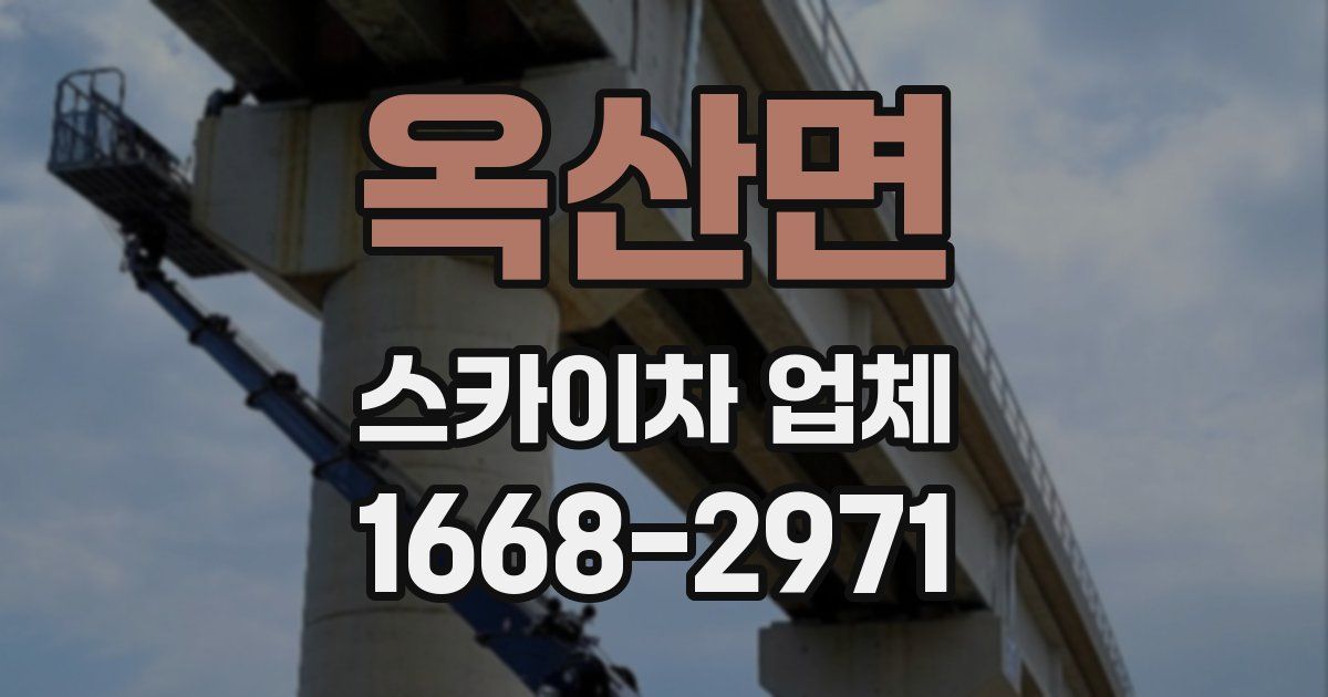 옥산면 스카이차 업체