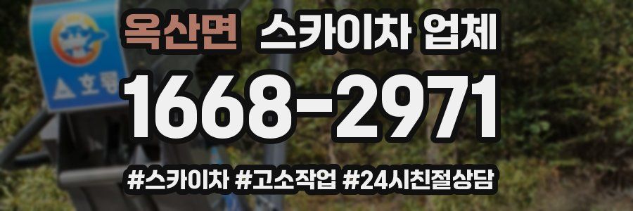 옥산면 스카이차 업체
