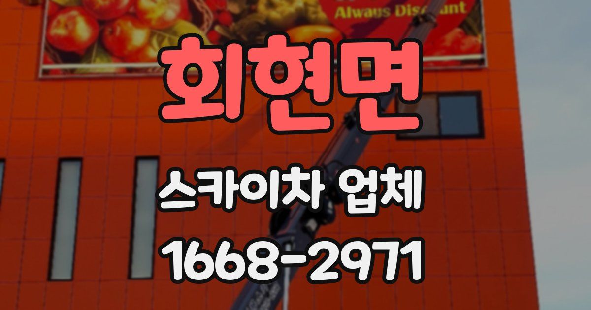 회현면 스카이차 업체