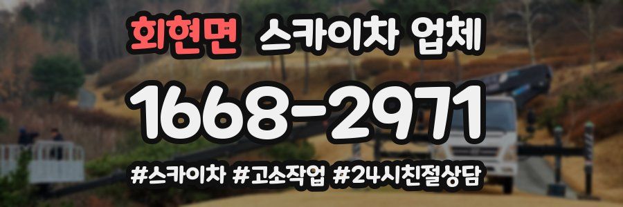 회현면 스카이차 업체