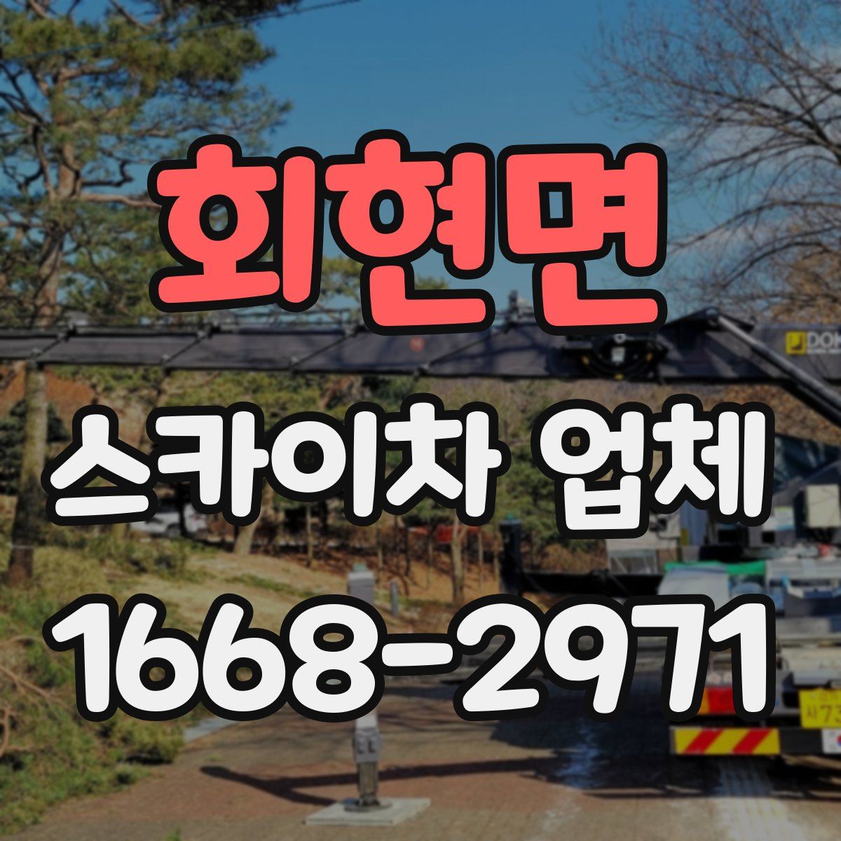 회현면 스카이차 업체