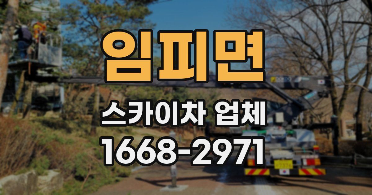 임피면 스카이차 업체