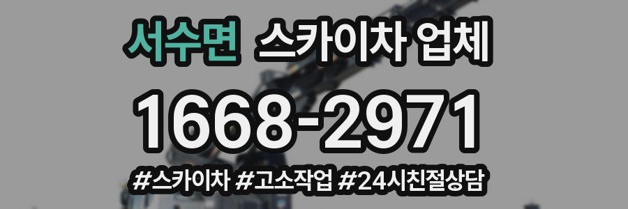서수면 스카이차 업체