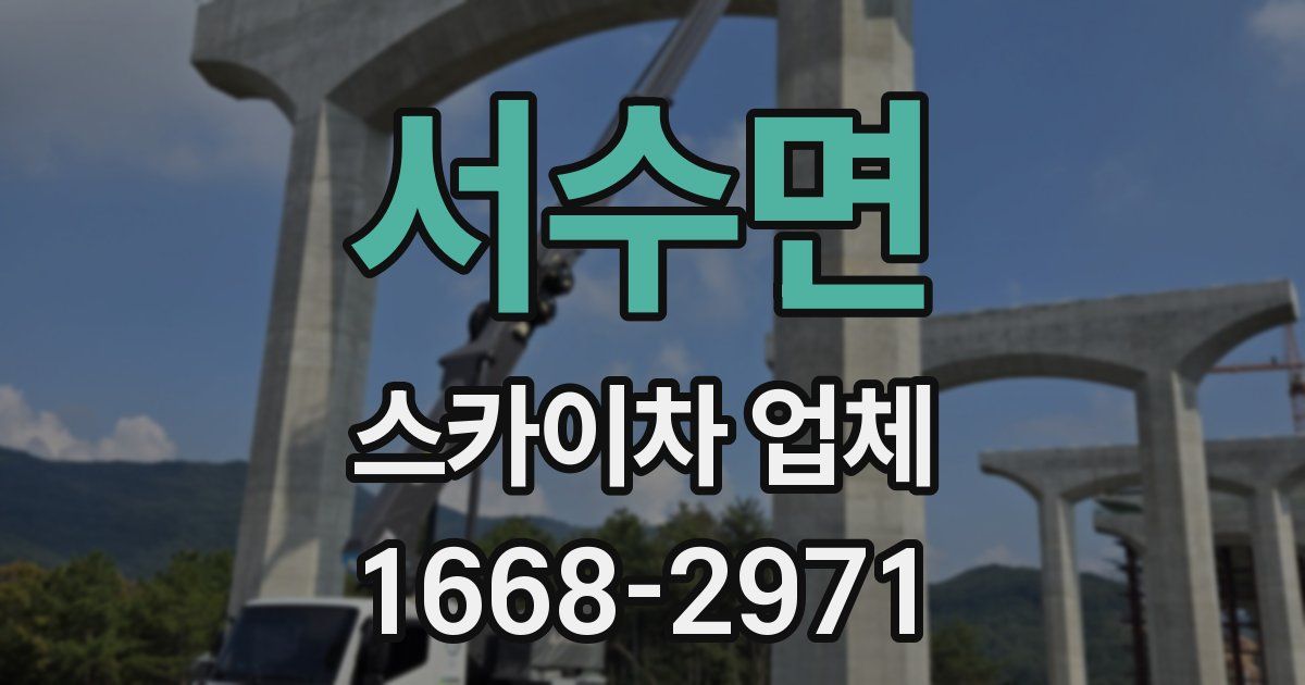 서수면 스카이차 업체