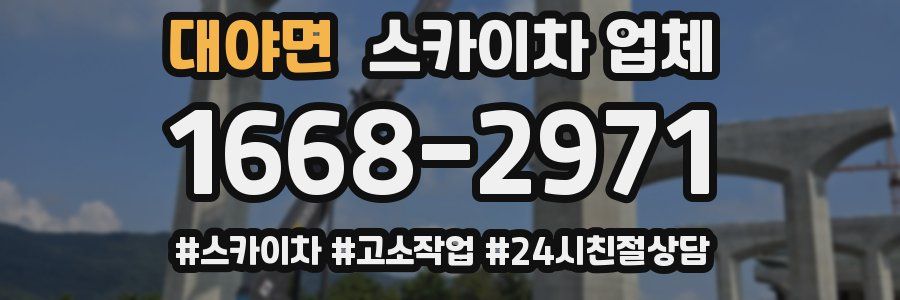대야면 스카이차 업체