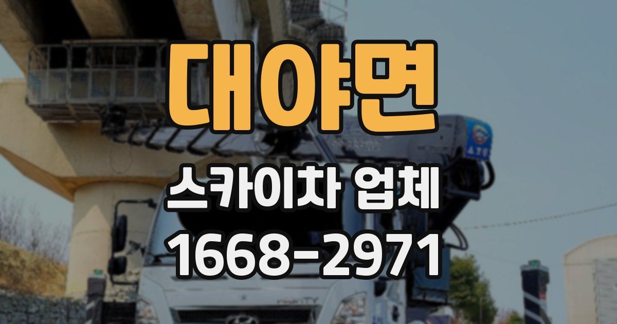 대야면 스카이차 업체
