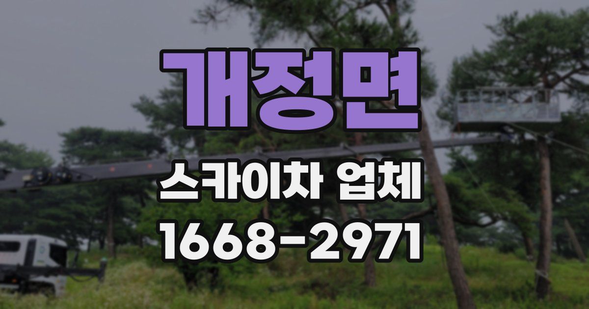 개정면 스카이차 업체