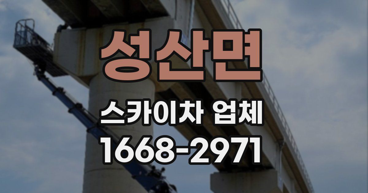 성산면 스카이차 업체