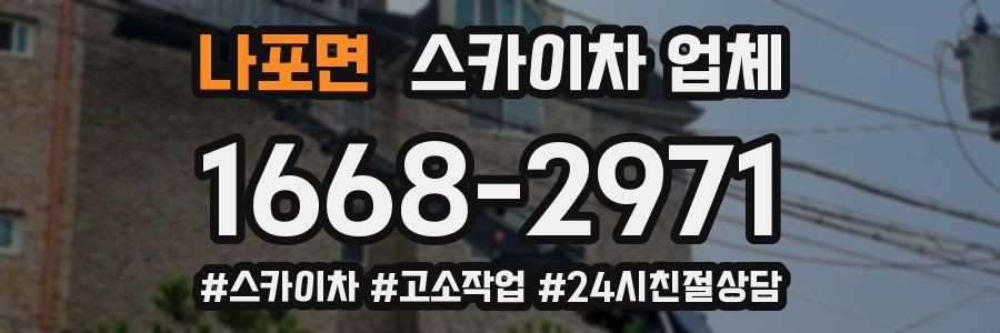나포면 스카이차 업체