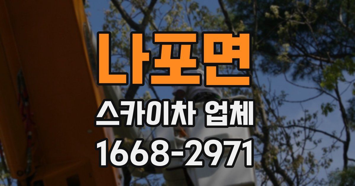 나포면 스카이차 업체