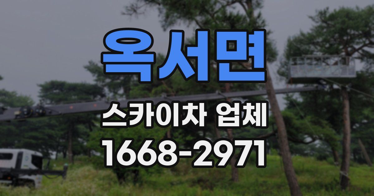옥서면 스카이차 업체